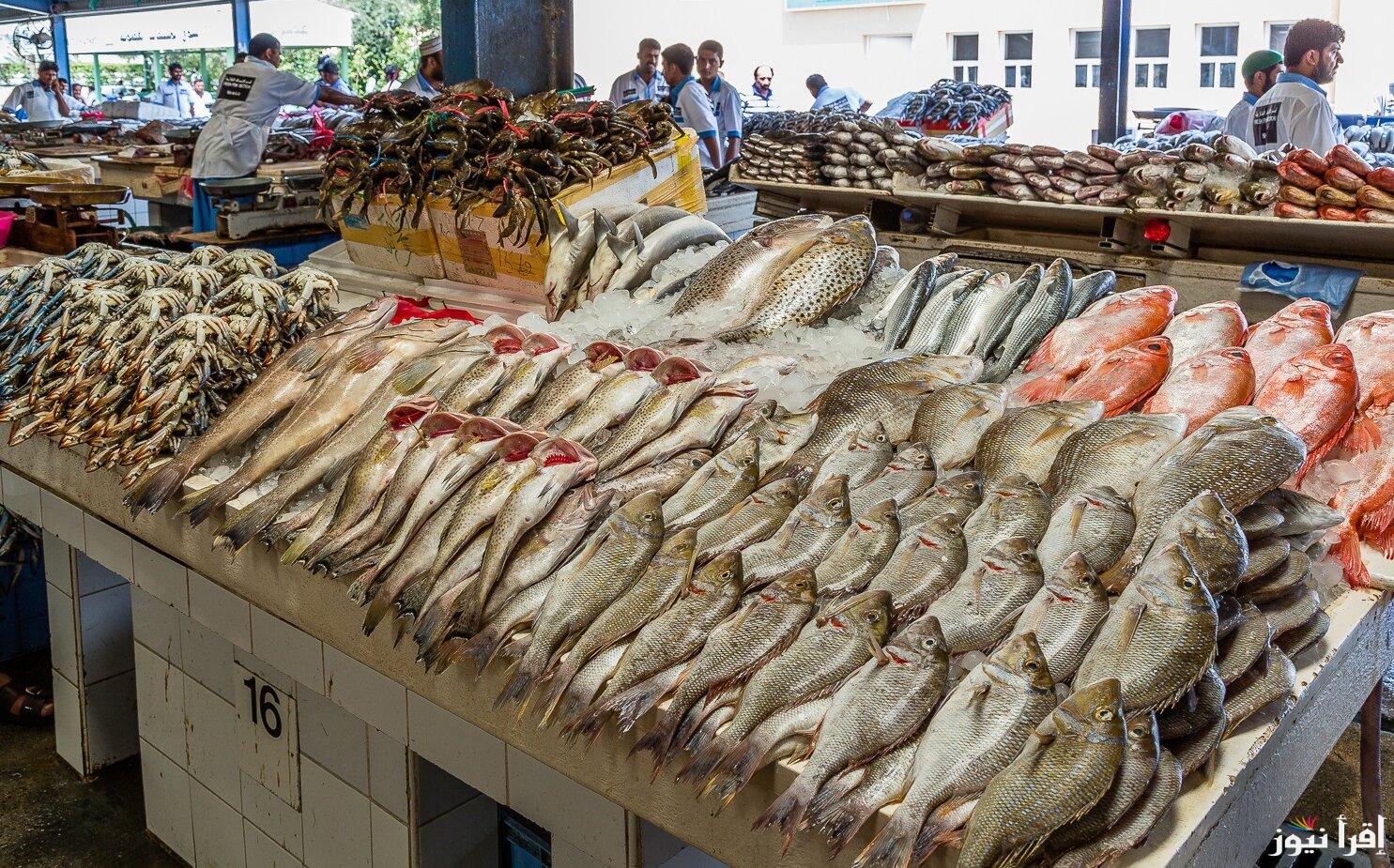 اسعار السمك اليوم الأحد 22 سبتمبر 2024 في مصر بجميع الأسواق وداخل سوق العبور