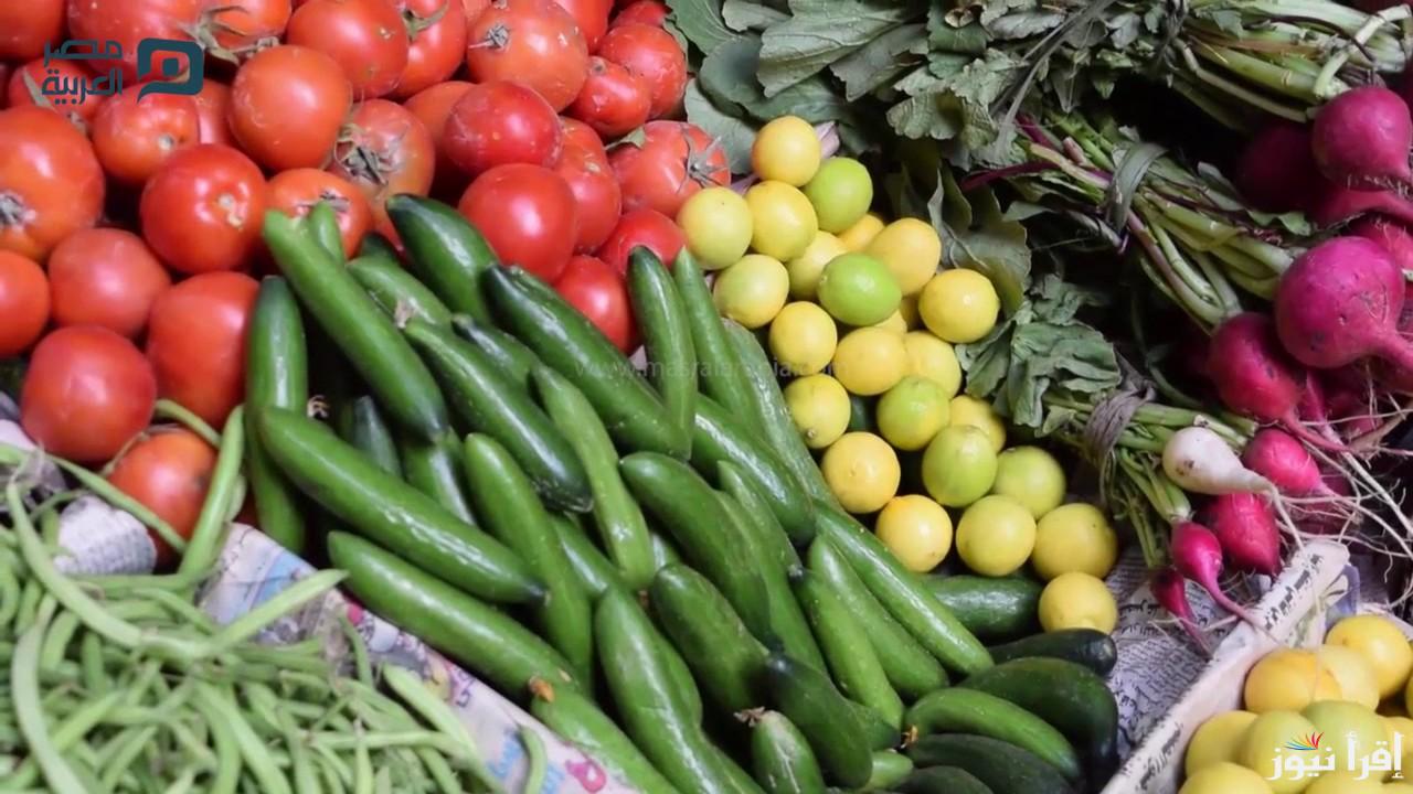 يا مجنونة يا قوطة ,, سعر الطماطم اليوم الثلاثاء 24 سبتمبر 2024 بعد الارتفاع داخل الاسواق التجارية للمستهلك