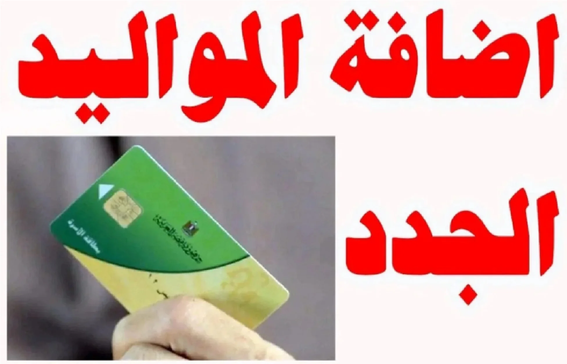 ما هي اهم شروط إضافة المواليد على بطاقة التموين وخطوات الاضافة
