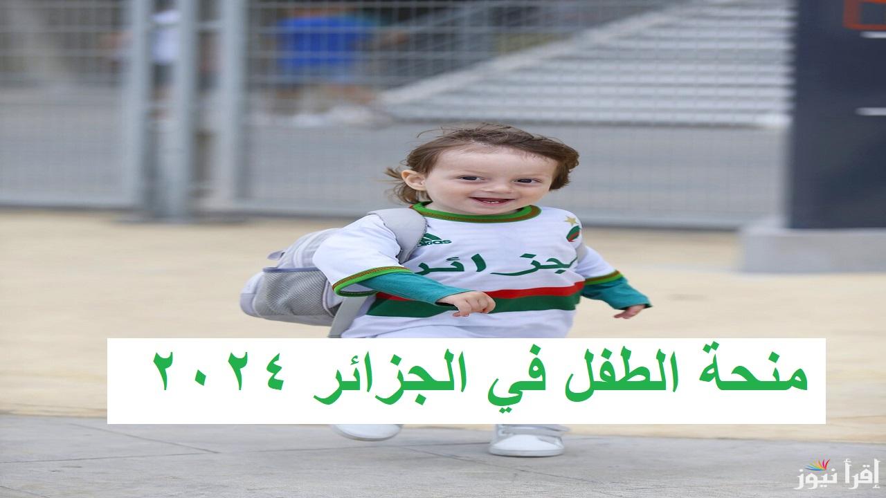 “عل خاطر وليدك” رابط التقديم في منحة الطفل بالجزائر 2024 وشروط الحصول على المنحة anem.dz