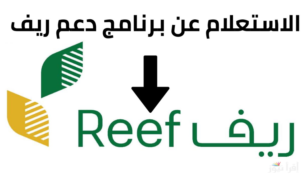 الاستعلام عن الاهلية بدعم الريف 2025 وأهم الشروط والواجب توافرها للحصول عليه