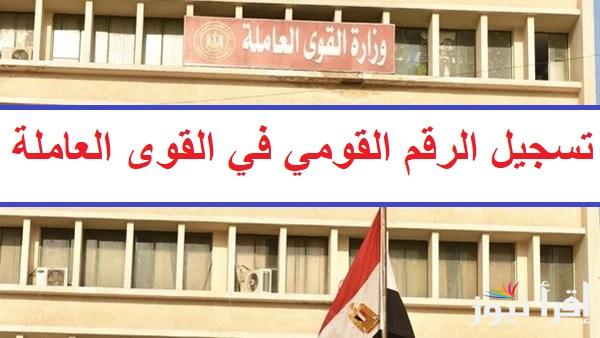 احصل علي “فرص عمل داخل و خارج مصر” خطوات تسجيل الرقم القومي في القوى العاملة بمصر 2024