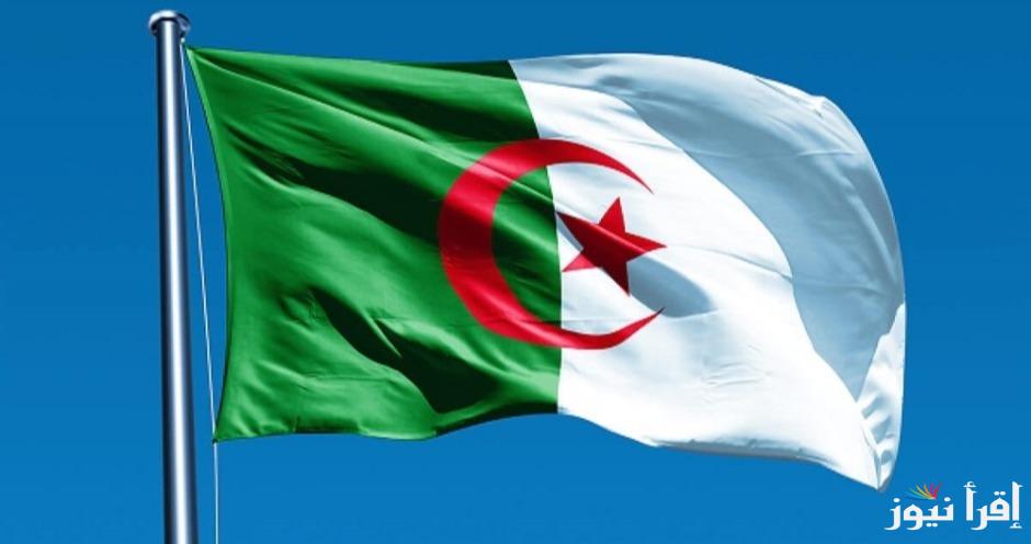 كيفية التسجيل في منحة الطفل بالجزائر 2024 عبر رابط mtess.gov.dz