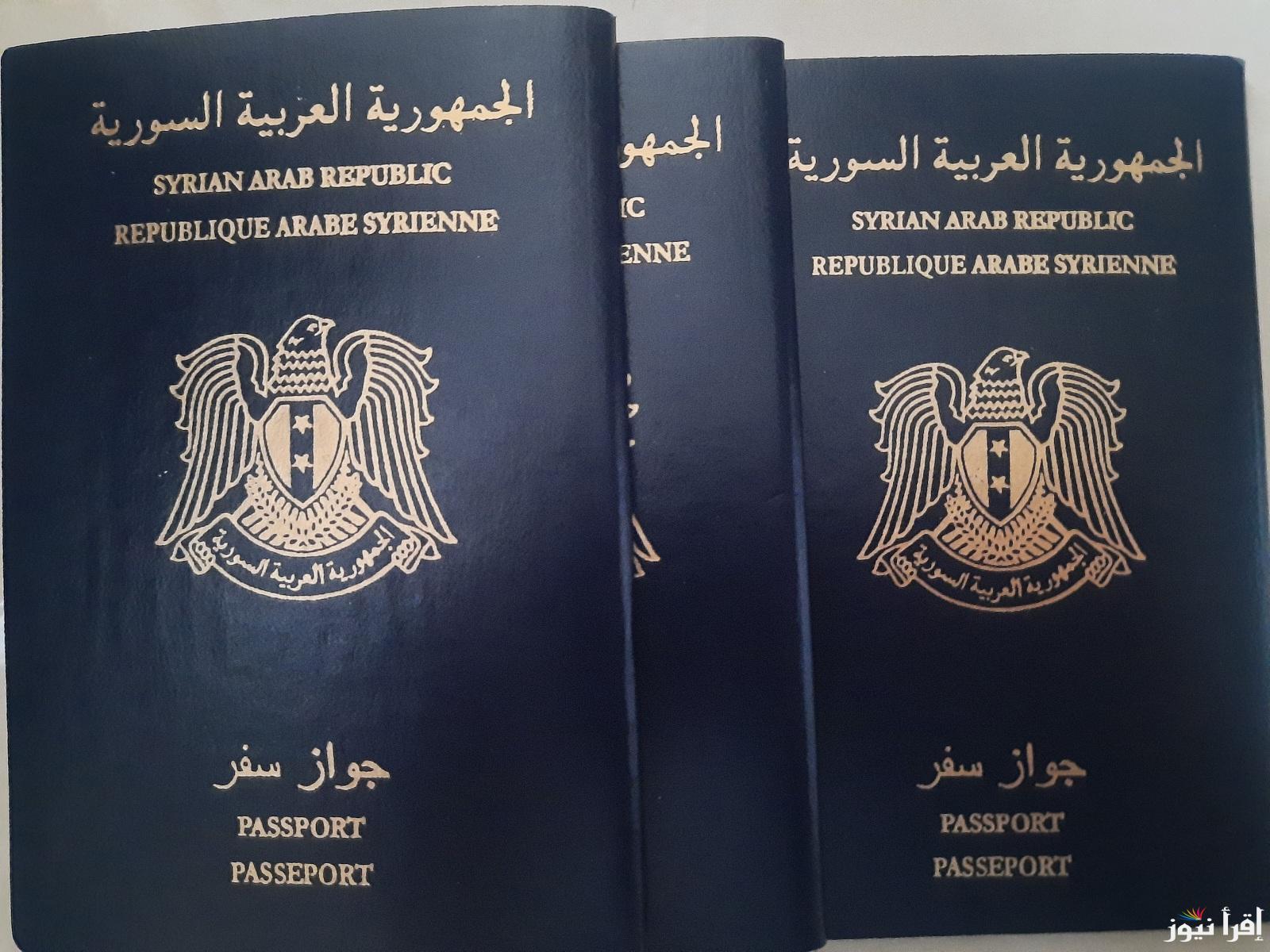 بكل سهوله .. رابط منصة حجز جواز سفر سوري 2025 syria-visa.sy | عادي فوري مستعجل