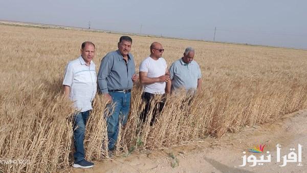 مركز بحوث الصحراء يقدم الدعم الميداني للمزارعين في عيد سيناء القومي