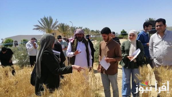 تعاون دولي لدعم التنمية الزراعية في سيناء
