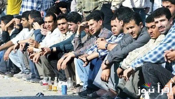 سجل بوصل الكهرباء بس… خطوات الاستعلام عن منحة العمالة الغير منتظمة 2025 والتفاصيل الكاملة حول المنحة
