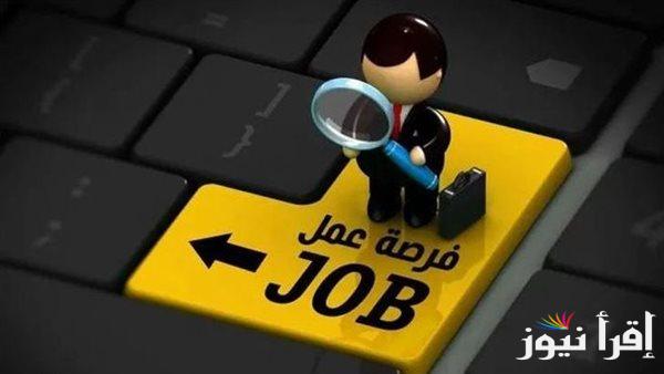 موعد وشروط التقديم لوظيفة معلم رياضيات في مدارس الأزهر بالقاهرة