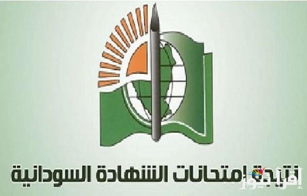 نتيجتك هنا result.sudani.sd: رابط استخراج نتيجة الشهادة السودانية 2025 وخطوات الاستعلام عنها عبر موقع وزارة التربية والتعليم السودانية