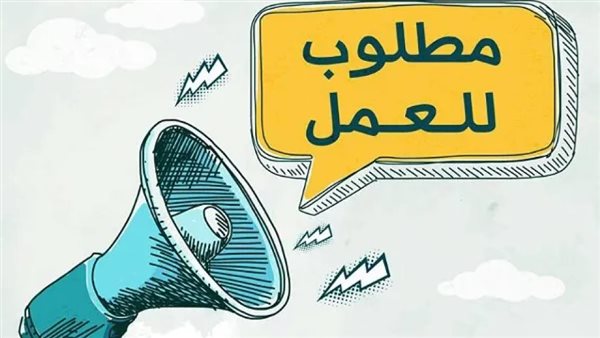 4424 فرصة عمل جديدة للشباب في 12 محافظة موعد وطرق التقديم