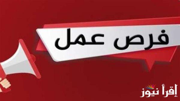 بدء التقديم اليوم: فرص عمل جديدة في الأردن للمهن المحددة