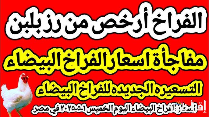 بورصة الدواجن اليوم أسعار الفراخ البيضاء اليوم الخميس 1 مايو 2025 وسعر كرتونة البيض للمُستهلك