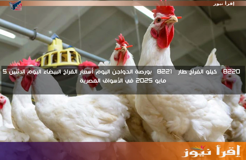 “كيلو الفراخ طار” بورصة الدواجن اليوم أسعار الفراخ البيضاء اليوم الاثنين 5 مايو 2025 في الأسواق المصرية