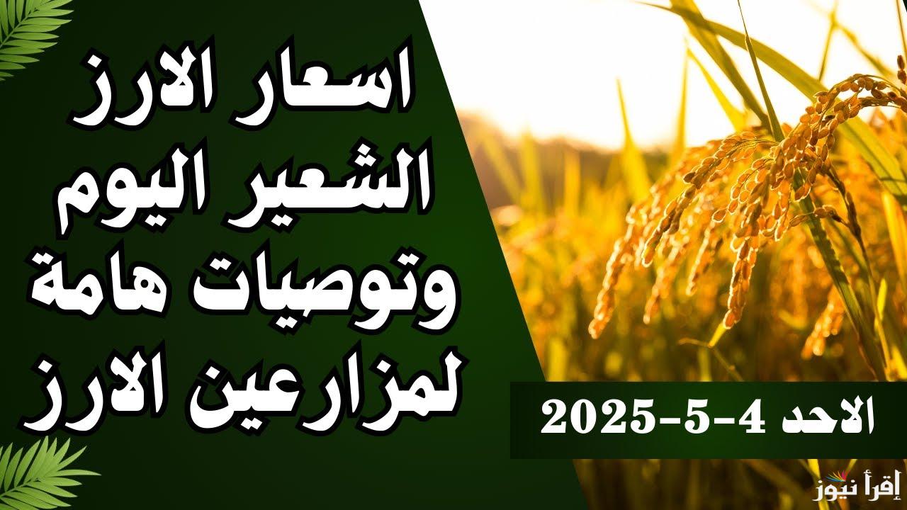 “بكام الاردب النهاردة” سعر الأرز الشعير اليوم الأحد 4 مايو 2025 في الأسواق المحلية العريض والرفيع