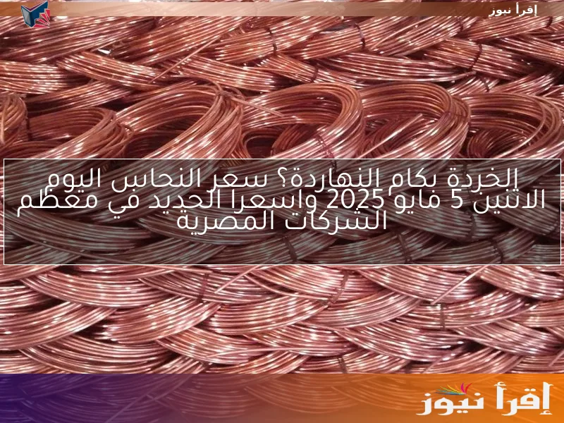 الخردة بكام النهاردة؟ سعر النحاس اليوم الاثنين 5 مايو 2025 وأسعار الحديد في معظم الشركات المصرية