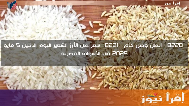 ” بكام الشعير والأبيض ؟؟ ” سعر طن الأرز الشعير اليوم الاثنين 5 مايو 2025 في الأسواق المصرية