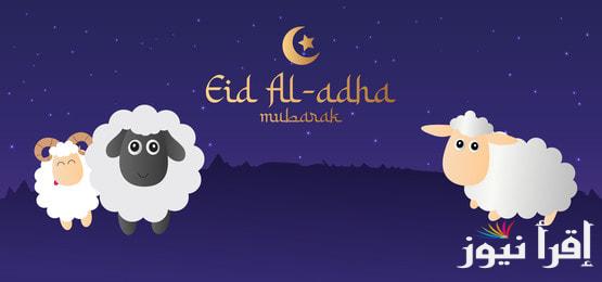 وفقاً للحسابات الفلكية.. موعد اول ايام عيد الاضحي 2025/1446 في مصر