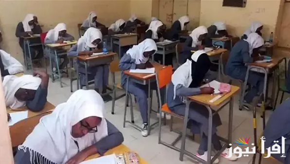 لينك result.sudani.sd استخراج نتائج الشهادة السودانية 2025 برقم الجلوس وبأبسط الخطوات